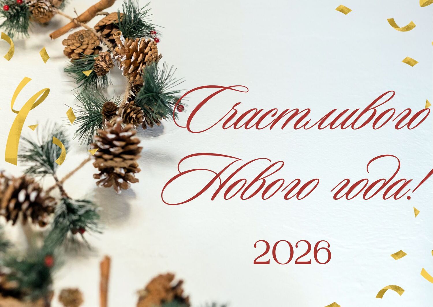 Поздравляем с Новым 2026 годом и Рождеством!